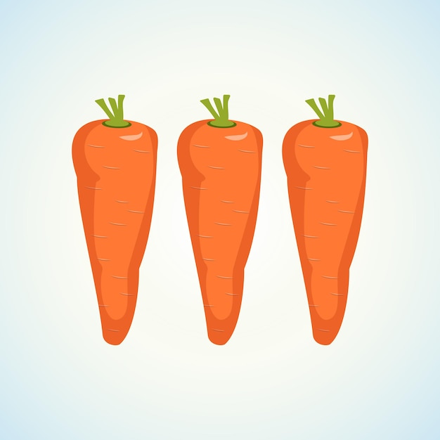 Wortelpictogram Gezonde voeding Oranje groente Bron van vitamines Een zoete snack Een ingrediënt voor lunch of diner Wortelwortelgroente voor aanplant in de lente of zomer Platte vectorillustratie