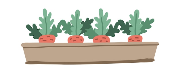 Wortelplant Groenten planten Wortel groeifase Vector tekening illustratie
