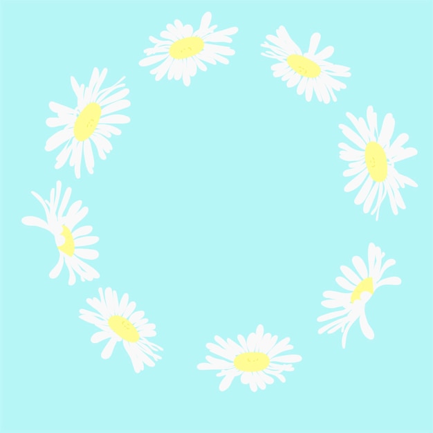 A wreath of daisies on a light blue background