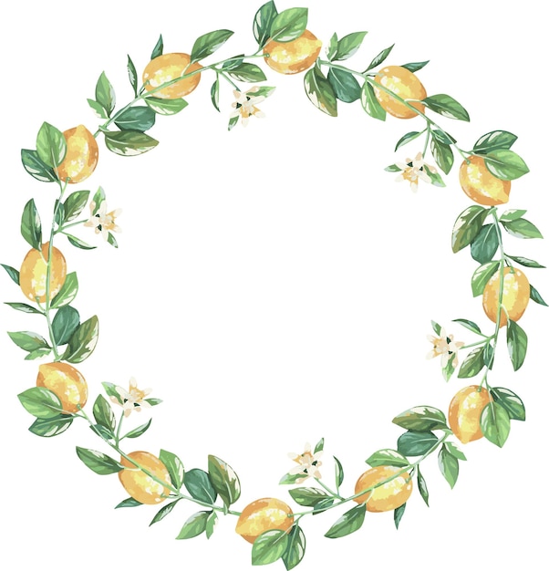 Vector a wreath of lemon sprigs with flowers watercolor illustration isolated on a white background