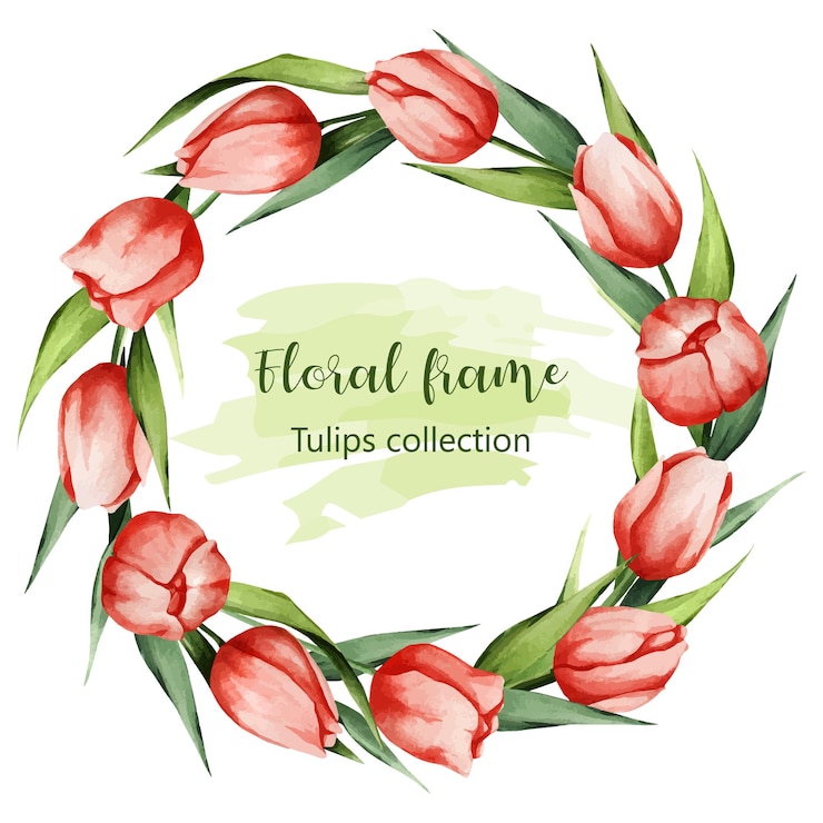 Vector a wreath of watercolor flowers  tulips and green leaves spring background for cards posters bann