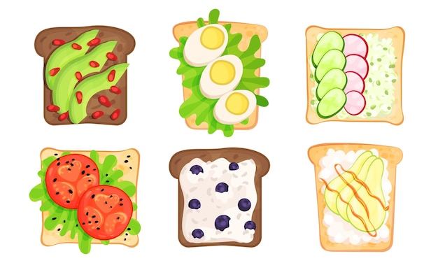 Vector write and brown bread toasts with different toppings vector illustrated set top view of tasty sandwiches isolated on white background