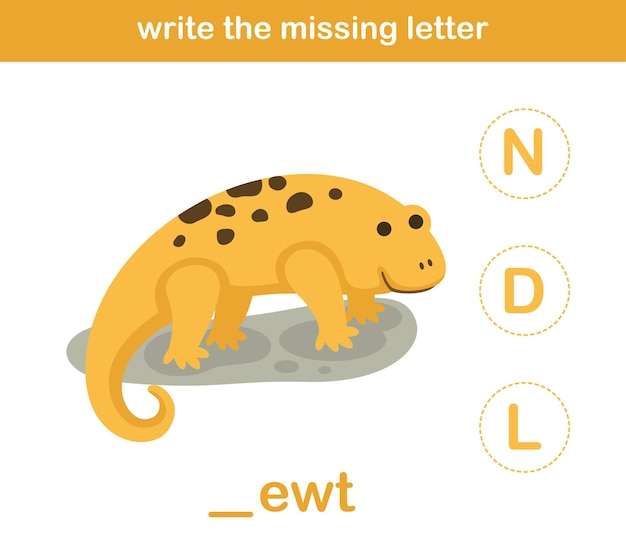 Write the missing letterillustration vector