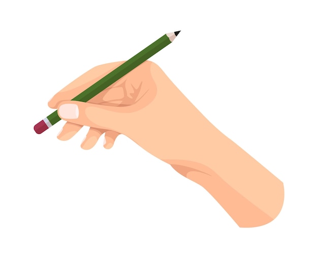 Vector writing tool in hand hand holding pen pencil marker and highlighter pen pencil stylus felttip pen in