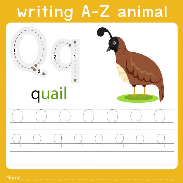 writing a-z animal q