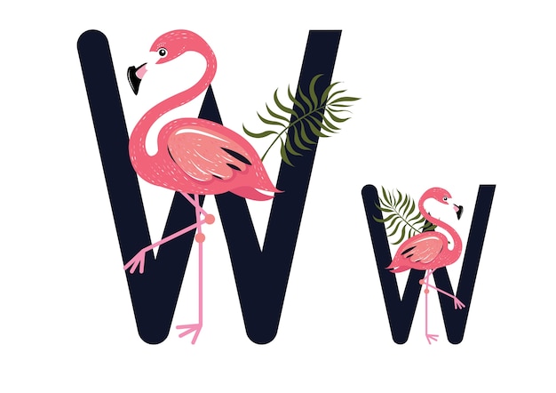 Ww flamingos