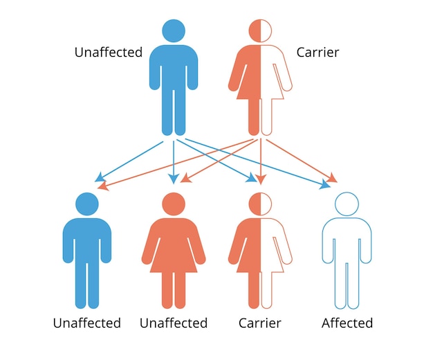x-linked recessive inheritance