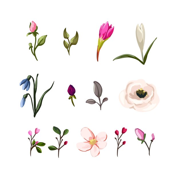 Vector xacollection of flowers