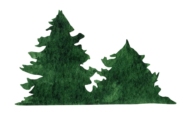 Vector xahand drawn watercolor fir tree forest clipart