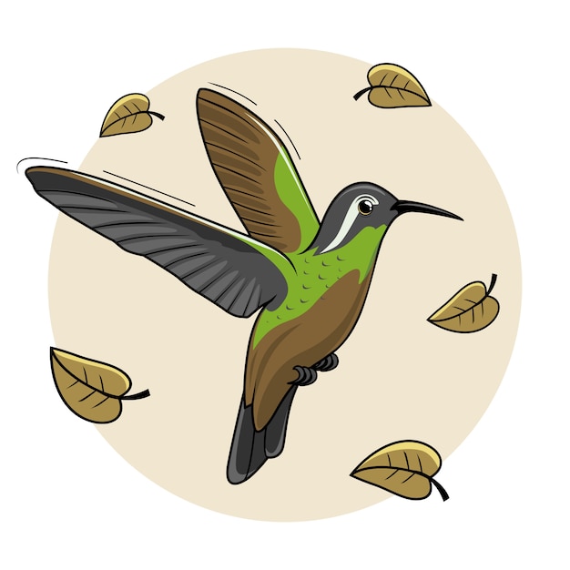 Xantus bird cartoon humming bird flying colibri