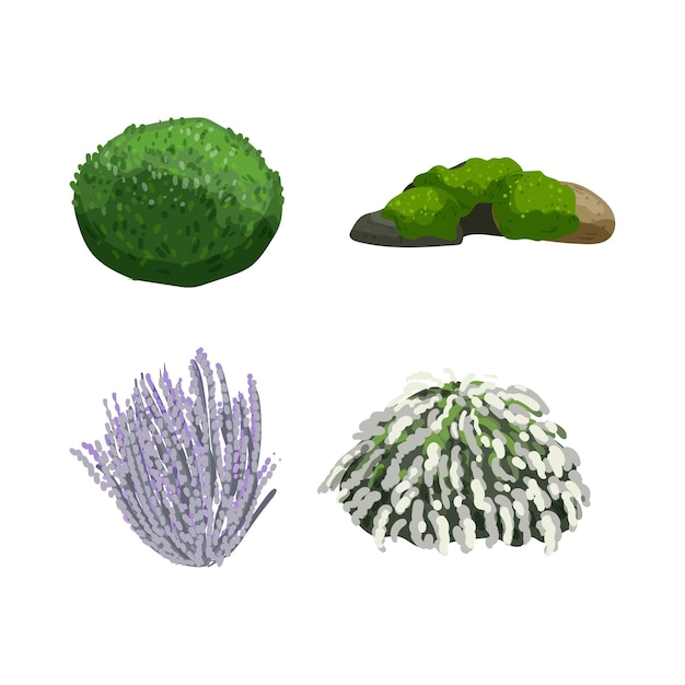 Vector xaset of detailed bushes