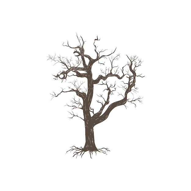 XAtree 根を持つ木 乾燥した古い木はひどいです 木のシルエット 手描きの木のスケッチ ベクトル イラストxA