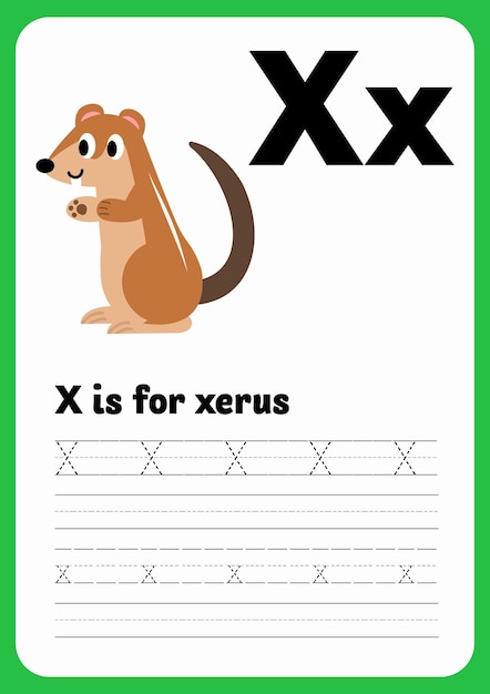 Vector xerus animal tracing letter x