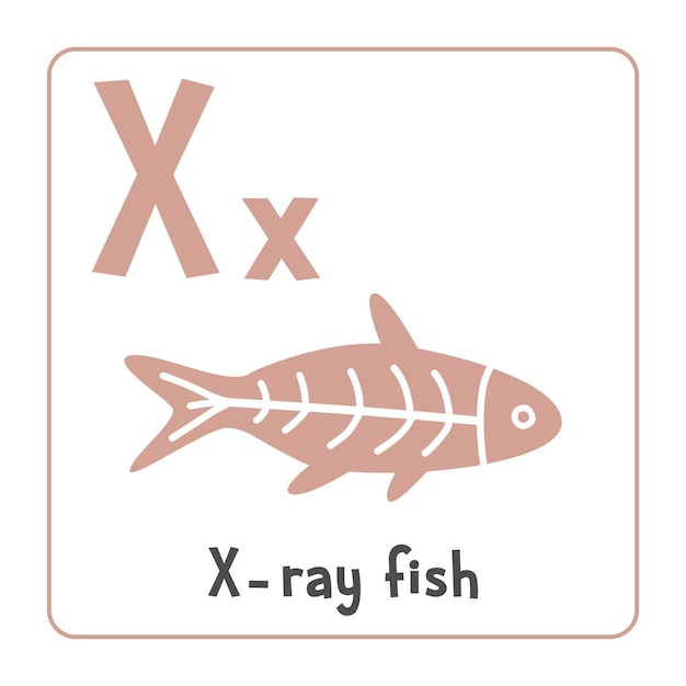 ベクトル クリップアート x線魚 ベクトルイラスト アニメ・フラット・スタイル 動物はxから始まる