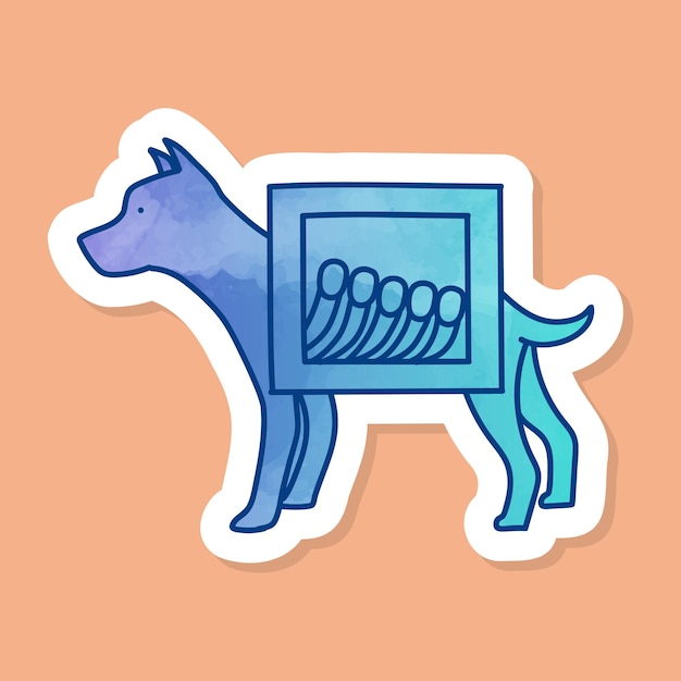 Vector xray view of dog skeleton color sticker