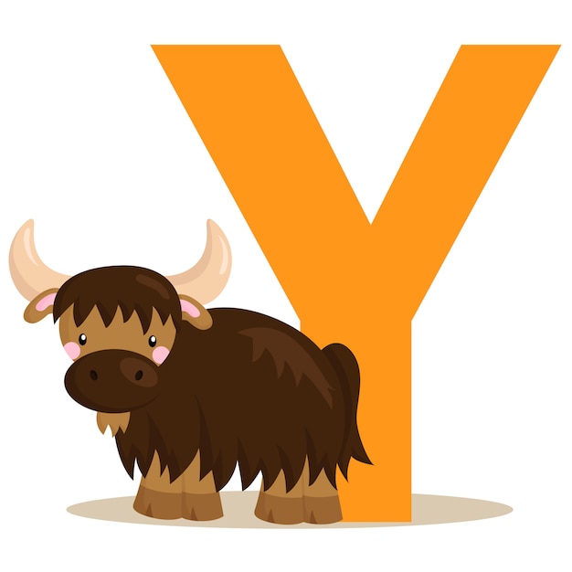 Vector y of yak