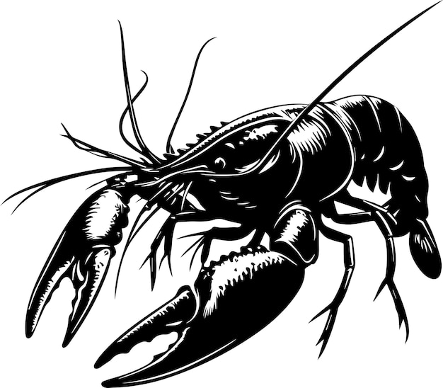 Yabby vector silhouette 5