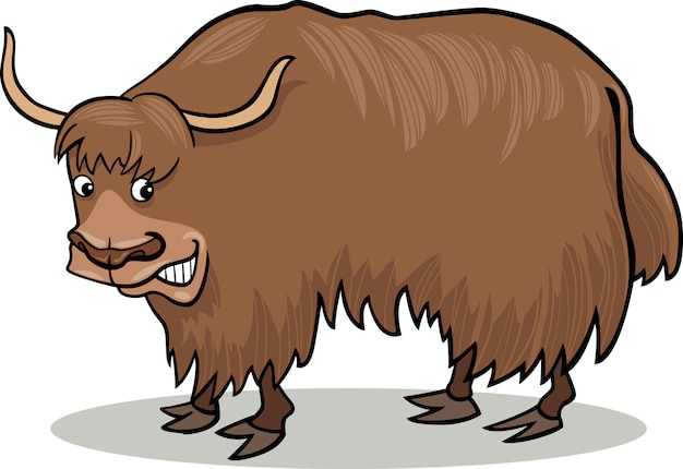 Yak bull