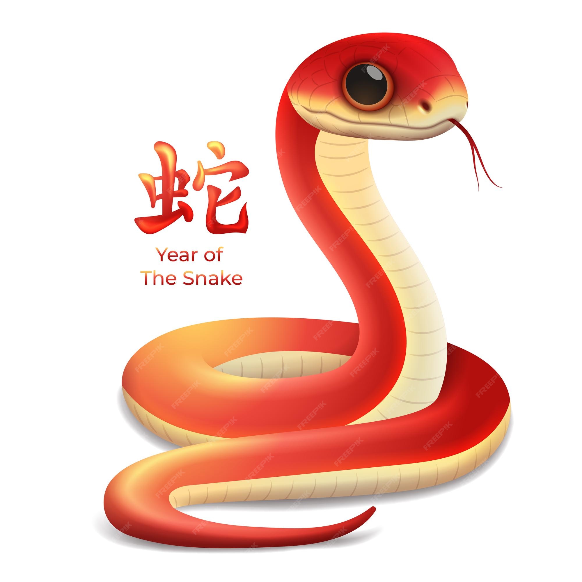 Premium Vector Year of The Snake 2025 Zodiac sign Chinese new year 2025 snake 3d vector