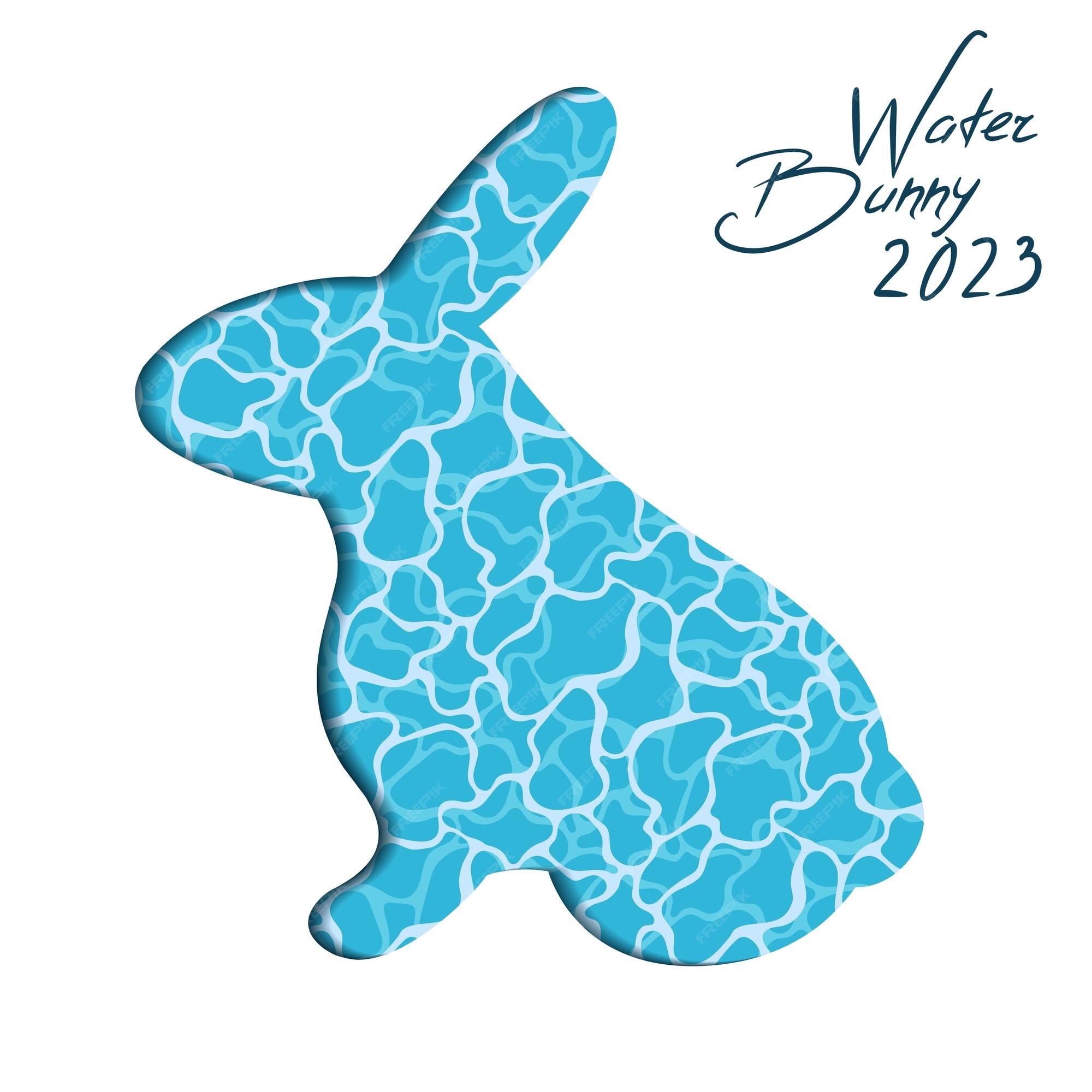Premium Vector Year of the water rabbit vector illustration
