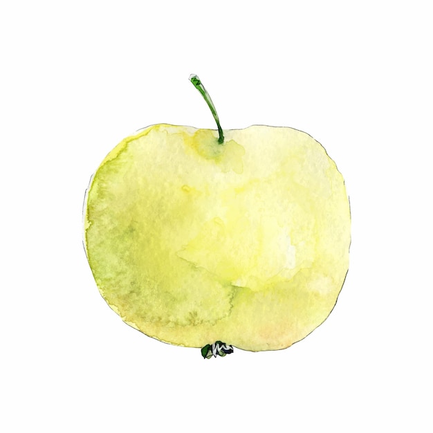 Yellow apple watercolor clip art hand drawn illustration isolated on white background