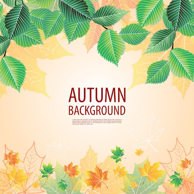 Yellow autumn background