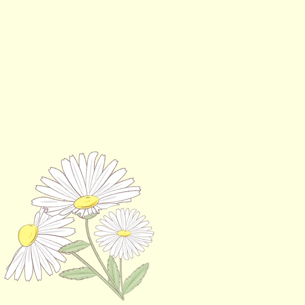 Vector yellow background with chamomile flower