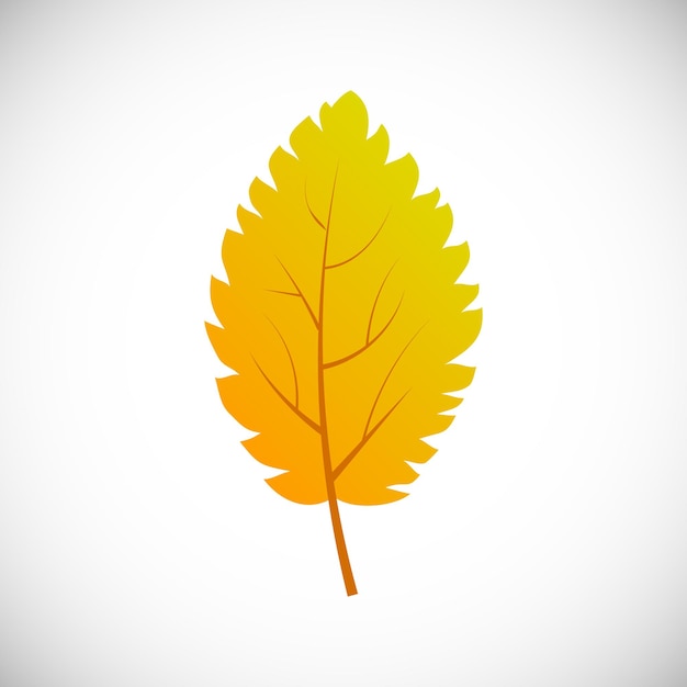 Желтый лист березы. осенний лист дерева на белом фоне. векторная иллюстрация