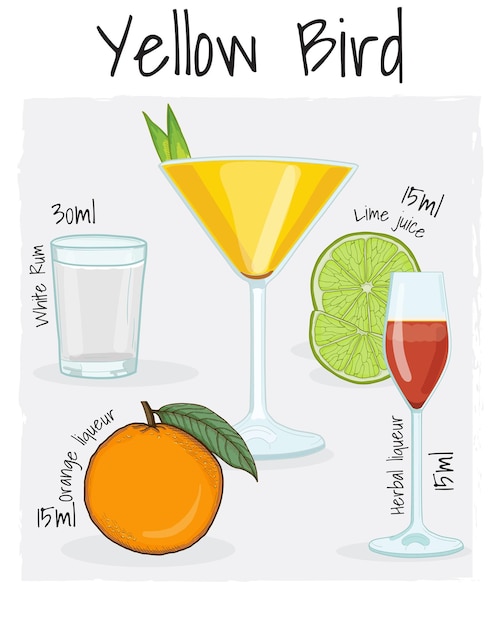 Vettore yellow bird cocktail illustration ricetta bevanda con ingredienti