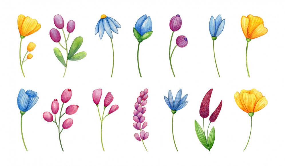 Premium Vector | Yellow, blue and violet wildflower set hand painted in ...