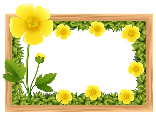 Yellow buttercup flowers as frame design