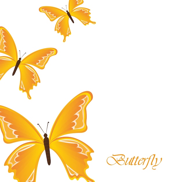 yellow butterflies over white background