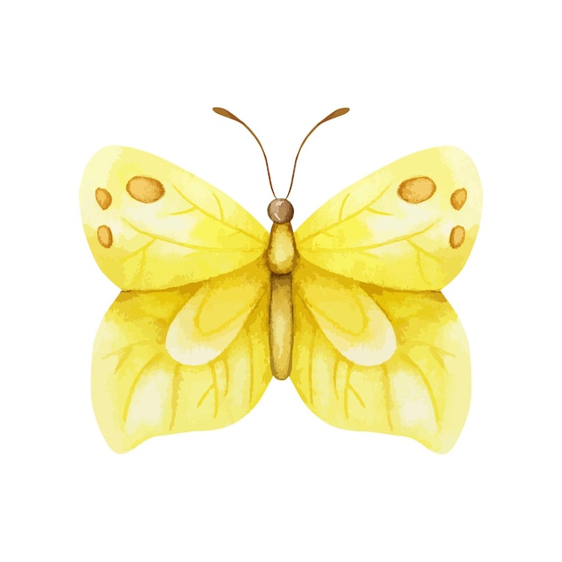 Vector yellow butterfly vector illustration. watercolor design