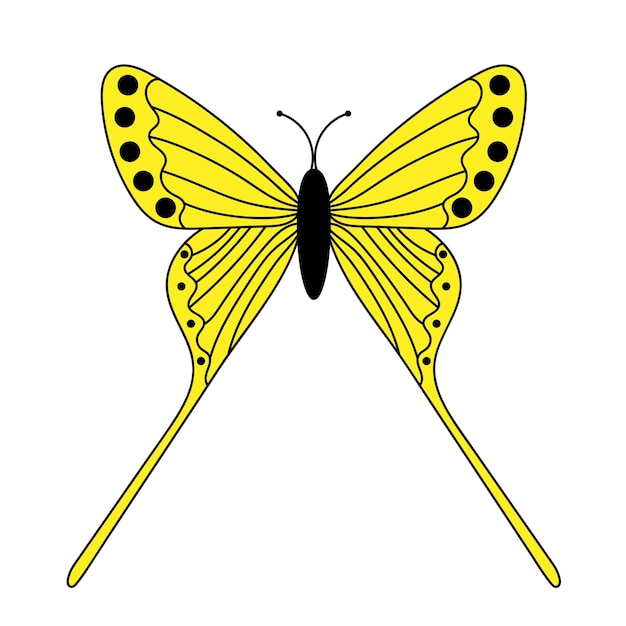 Yellow butterfly with black outline