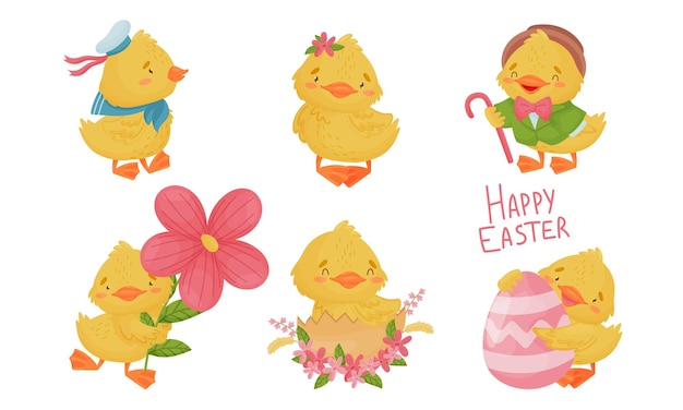 Vector yellow chicken holding egg and hatching isolated on white background vector set