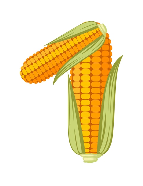 Вектор Желтая кукуруза номер 1 стиль еды мультфильм дизайн плоские векторные иллюстрации, изолированные на белом фоне