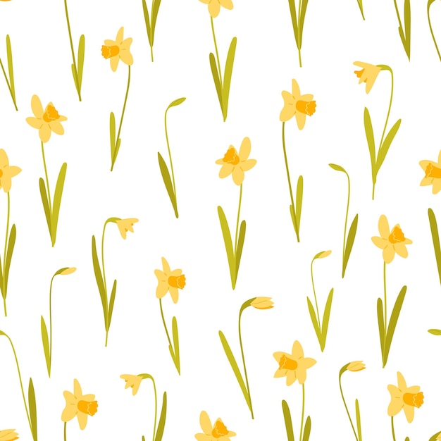 Vector yellow daffodils seamless pattern on white background vector illustration in flat style