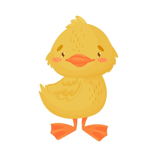 Yellow duckling is standing vector illustration on a white background