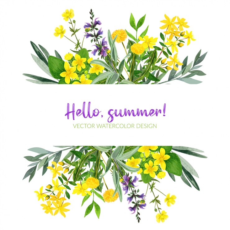 Yellow field flowers, watercolor stripe, hand drawn