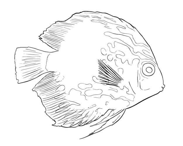 Yellow fish with white spots close up doodle lineart cartoon