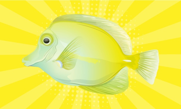 A yellow fish with a yellow background.