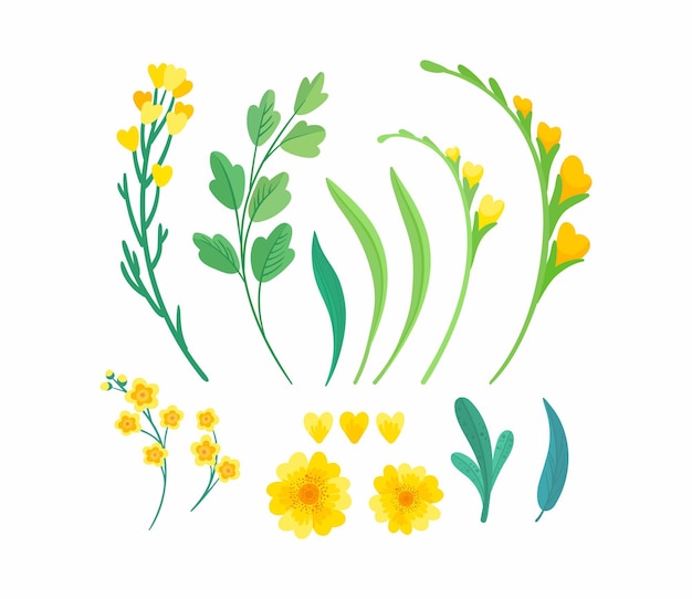 Yellow floral, Blooming spring flowers green leaves set