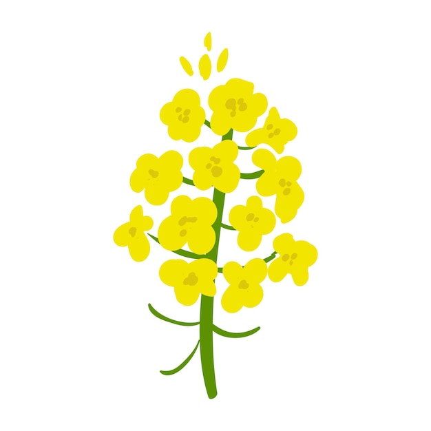 Vector yellow flower illustration