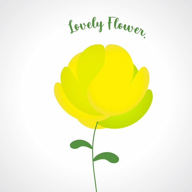 Yellow flower rose tulips florist