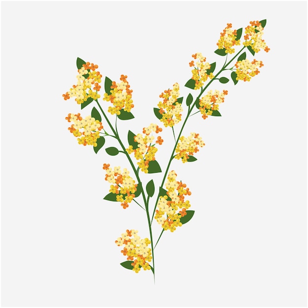 Vector yellow flower with leaves and background vector