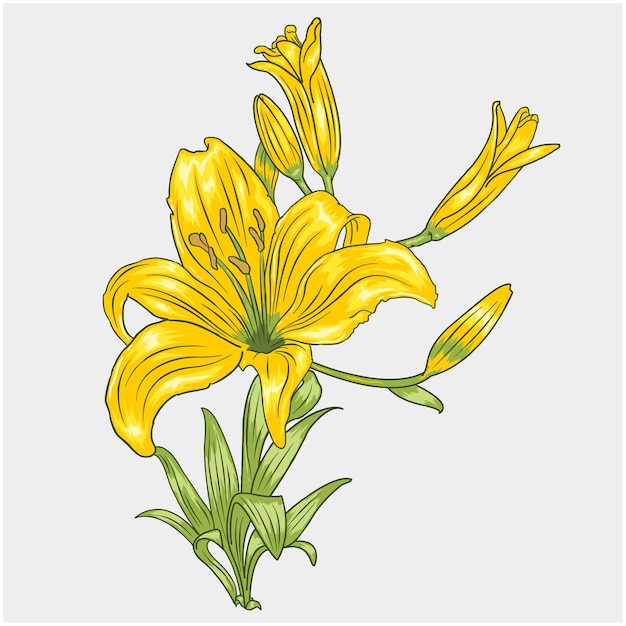 Vector yellow flower