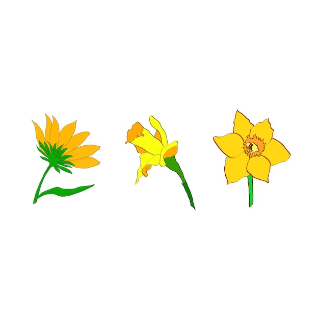 Vector yellow flowers. vector design elements.