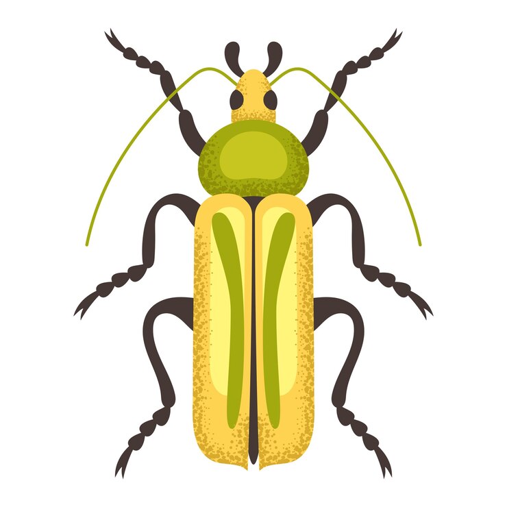 Vector yellow and green beetle