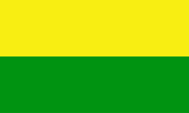 A yellow and green flag with the word " french " on it.