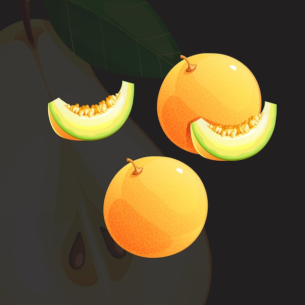 Yellow Juicy Bright Fresh Ripe Melon Vector Illustration